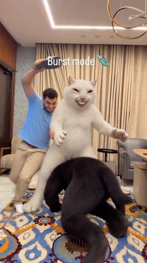 Cover of an Instagram reel: Deni swinging a flip-flop at a giant white cat character, captioned Burst mode